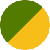 ASCSGreenYellow.png