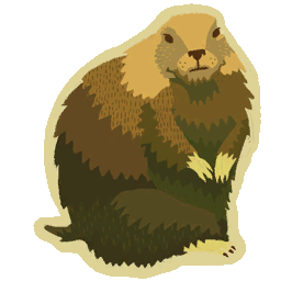 LBP gopher.tex.png