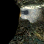 Hl2proto cave002 00 01 00.png