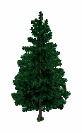 Ts1 tree4 tc.png