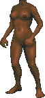 DaggerfallBODY11I0finalversion.PNG