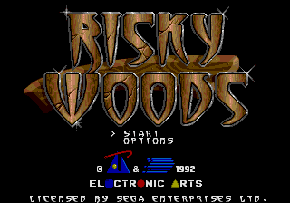 Risky Woods for popular Sega Genesis