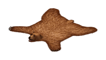 Ts1 bearrug tc.png