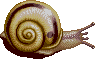 Snes simant jp snail.png