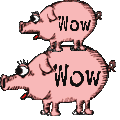 GF5DM4-jetworldSTWpig1.png