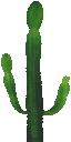 MKDSKiosk Cactus.png