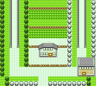 PokemonGSC ROAD5.FLD early.png