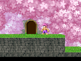 Tomba-DoorJp.png