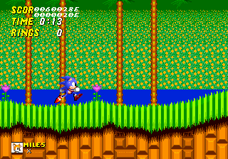 Il s'agit du spriteset complet de Sonic de Sonic Advance 2