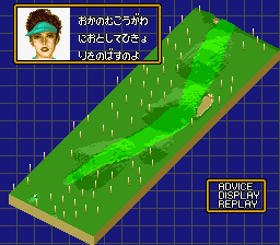 Holeinone-advice3a.png