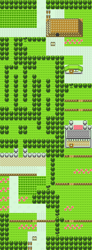 PokeGSFinal-Route2.png