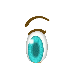 FSANT eye 1.png