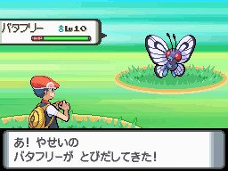 PKMNDP Jun06 MaleButterfree.jpg