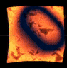 AHatIntime lava test(Material).gif