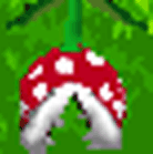 NSMB-development-korean localisation docs-enemies-pipe piranha plant.png