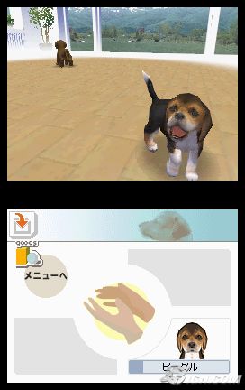 NintendogsMarch9-2005Screenshot7.jpg