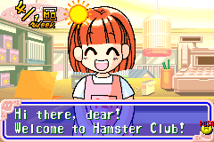 Hamsterz Life - Nintendo DS