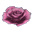 Pikmin2Flower redEarliestIcon.png