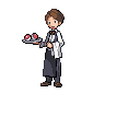 PokeBW Development Trainer Waiter r11120.png