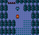 Pokemon GS SW99 Route 37.png