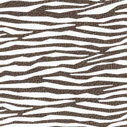 Lbp1 March08 zebra skin.tex.png