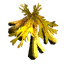 Lbp1 Decoration seaweed.tex.png