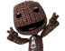 Sackboy mugshot.png