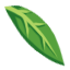 Tiger lily leaf hbc.png