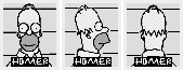 TSCS homer bookmark.png