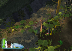 Sims2CastawayPS2-FIN FirstJungle-6.png