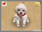 NintendogsFebruary2005Screenshot2.jpg