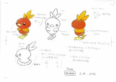 PKMNRS Torchic Concept Art.jpg