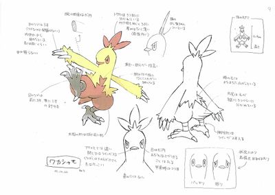 PKMNRS Combusken Concept Art.jpg