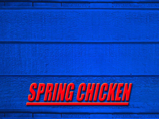 Chickenfun spring gingerless.png