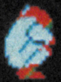 NES Metroid Manual CurledUp Samus.png