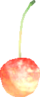 Pikmin2Flower redFinal.png