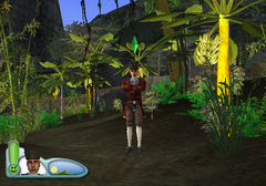 Sims2CastawayPS2-FIN FirstJungle-9.png