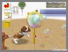 NintendogsFebruary2005Screenshot21.jpg