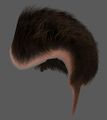 DR1PreE3Hair.jpg