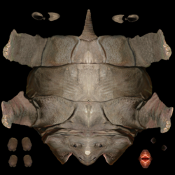 JTVG rhino D.png