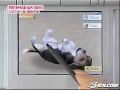 File:Nintendogs-Prerelease-IGN-20041105.mp4