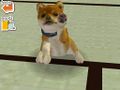 Ds Nintendogs ss 05.jpg