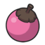 PkmnSV Item 0489.png