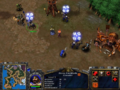 Warcraft3AlphaCrusader01.png