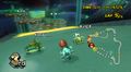 MKWii Prerelease MushroomGorge2.jpg