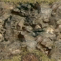 DungeonSiege2-b t grs02 flr fence-grass-f.png