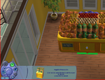 The-Sims-2-VeggiStuf-High-Cost.png