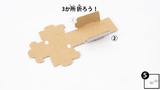 Nintendo-Labo-Var-Proto-HusMain 1173 JPja.JPG