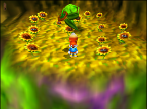 Conker sunflower.png