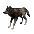 AlanWake Wolf.png